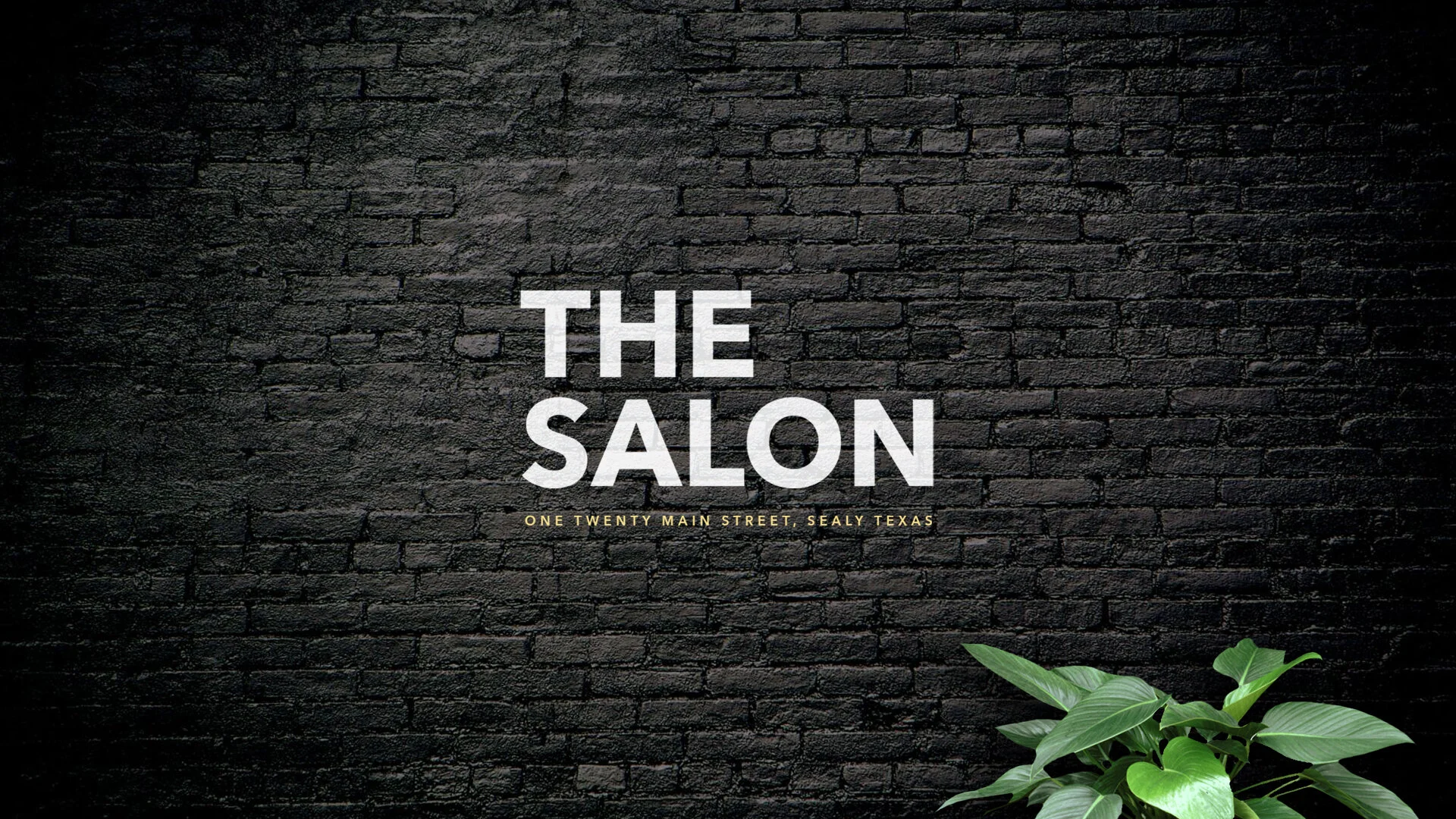 The Salon on Main